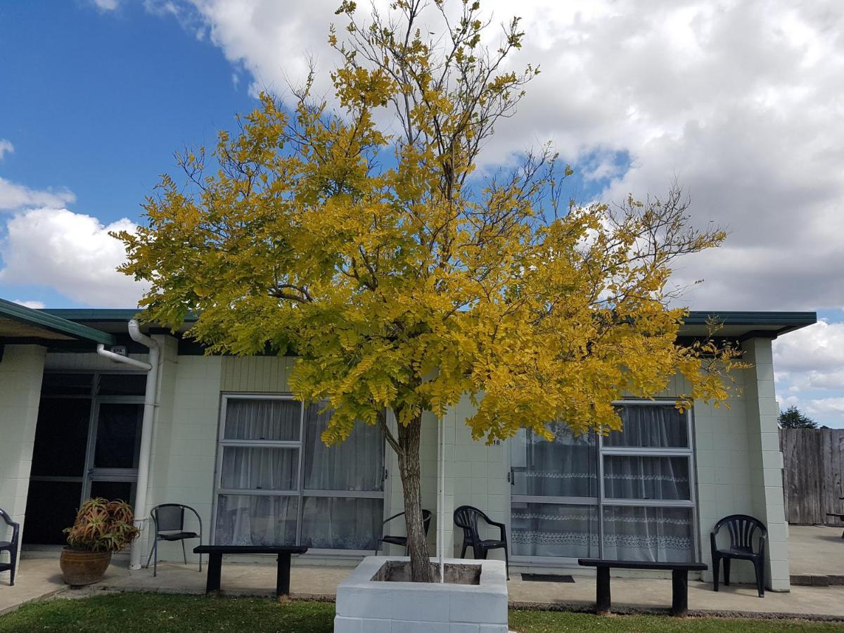 Parkview Motel Dargaville Eksteriør billede